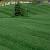 Kentucky Bluegrass Field