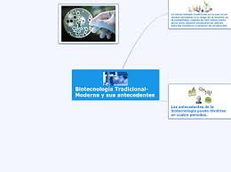 Edición nº 5 introducción al mejoramiento tradicional y la biotecnología moderna el mejoramiento vegetal las plantas que hoy se cultivan son distintas de sus antepasados silvestres, ya que el hombre ha modificado y seleccionado sus propiedades a lo largo de más. Biotecnologia Tradicional Y Moderna Mapa Mental
