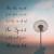 Strength Bible Verses About Peace And Comfort