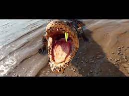 You still can't get too close to enemies or you'll have a couple animal pals, like chorizo, an excitable little dog in a wheelchair who can distract soldiers, and guapo, a crocodile who can tear. Sm5hdpolzvjotm