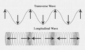 Overview of key terms and skills for waves, including how to identify longitudinal and transverse waves. 2