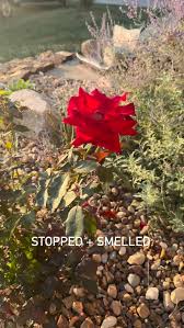 Take Time. I have an artist friend/mentor who was like a Mr. Miagi to me.  He taught me much, in the little moments we had to paint together. If I  ever got frustrated he would say in his ...