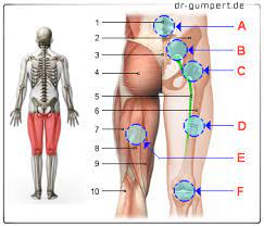 Diese krämpfe sind vom allerfeinsten und wirklich von der heftigen art. Schmerzen Am Hinteren Oberschenkel