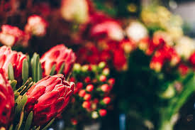 Tauche Ein Ins Blutenmeer Von Blumen Hansen Blumen Sylt Und Blumenladen