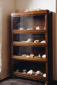 A Vintage Display Cabinet Filled With Beautiful Shells Wooden Display Cabinets Display Cabinet Diy Display Cabinet