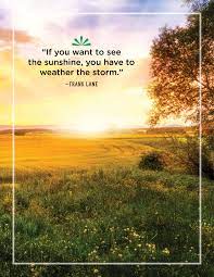 Discover and share sunny day quotes. 40 Best Sunshine Quotes Wise And Inspirational Sayings About Sunshine
