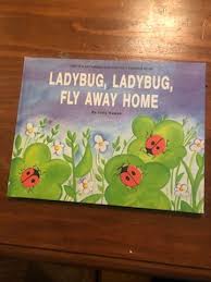 Vintage Ladybug Book - Etsy