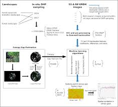 And below i document my process on how, even when you've never written one before. Remote Sensing Free Full Text Does Sentinel 1a Backscatter Capture The Spatial Variability In Canopy Gaps Of Tropical Agroforests A Proof Of Concept In Cocoa Landscapes In Cameroon Html