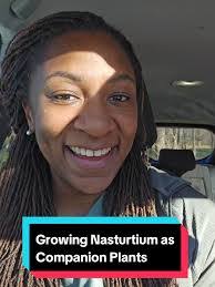 Nicole Teague's Instagram, Twitter & Facebook