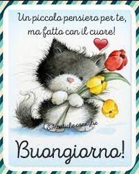 Pin Di Antonella Cappelli Su Buongiorno Buongiorno Buongiorno Immagini Buongiorno Divertente