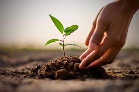 I thought, this is what it is to be happy. — sylvia plath. 5 Acts Of Sadaqah Jaariyah In Islam Muslim Aid