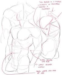 Super Drawing Body Male Tutorials Art Ideas Art Reference Photos Body Reference Drawing Art Reference