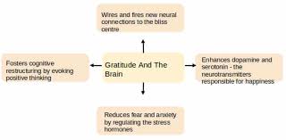 The Neuroscience Of Gratitude And How It Affects Anxiety Grief
