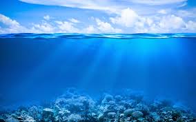 Wie korallen das wetter beeinflussen | klimawandel. Cropped Blauen Hintergrundbilder Mit Korallen Riff Unterwasserwelt Meer Fische Unterwasser Korallenriff Ozean Blauen Himmel Und Wolken Jpg Coastal Impact