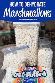 How To Dehydrate Marshmallows Make Marshmallow Powder Recipe Dehydrator Recipes Recipes With Marshmallows Food