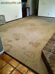 Polished Concrete How I Got My Slab Ready For Paint Polished Concrete Concrete Floors Diy Concrete Stained Floors