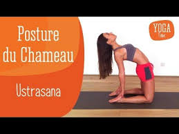 Yoga Posture Du Chameau Ustrasana