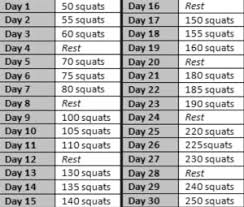 30 Day Squat And Plank Challenge Momonthevergeofsanity