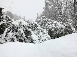 En direct de la n88 à firminy (loire), où des centaines de personnes ont été bloquées par la neige, la journaliste claire exbrayat fait le point sur la situation.retrouver toutes les infos sur la vidéo sur : Lozere Lozere 15 Centimetres De Neige Entre Mende Et Le Puy En Velay Le Departement Place En Alerte Orange