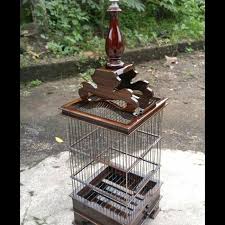 Check spelling or type a new query. Jual Sangkar Pleci Kotak Model Minimalis Kab Jepara Sangkarcraftjepara Tokopedia