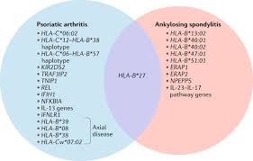 Axial Disease In Psoriatic Arthritis And Ankylosing Spondylitis A Critical Comparison Nature Reviews Rheumatology