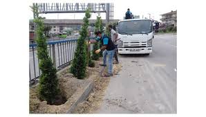 dilovasi eynerce kavsagi yesillendiriliyor sehir modern