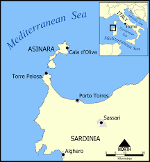 La maggior parte degli storici concorda che il toponimo asinara possa trarre origine dalla trasformazione. Asinara Wikipedia