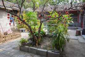 Maybe you would like to learn more about one of these? A Flower Bed With Plants In Pots And A Tree On Which Hang Chinese Lanterns And A Cage With Birds Stock Photo Picture And Royalty Free Image Image 118763138