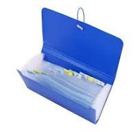 Economical Plastic File Folder A4 Report File Folder School Office Supply