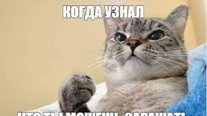 Безопасны ли вакцины против коронавируса?» Koronavirus Evolyuciya Epidemii V Fotozhabah I Memah