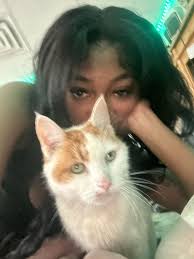 Lost cat in Sango area near exit 11?