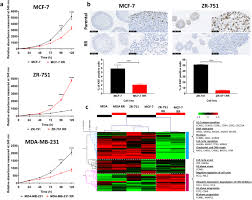 Characterisation of animal cell lines. Development And Characterisation Of Acquired Radioresistant Breast Cancer Cell Lines Radiation Oncology Full Text