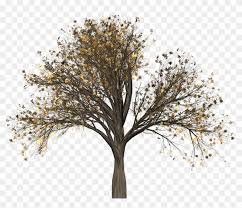 Check spelling or type a new query. Pine Tree Silhouette With Roots Aesthetic Transparent Beige Hd Png Download 888x720 2386064 Pngfind