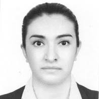 80+ "Galvan-camacho" profiles