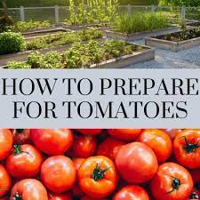 Check spelling or type a new query. Garden Prep For Tomatoes Garden Org Garden Prepping Tomato Garden Tomato Seedlings