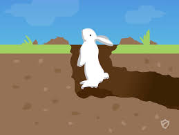 We did not find results for: How To Get Rid Of Rabbits Rabbits Repellent Guide