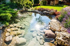 Maybe you would like to learn more about one of these? 7 Inspirasi Kolam Ikan Depan Rumah Nggak Perlu Lahan Besar Dekoruma Com Line Today