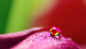 Bagi anda pemula yang ingin bisa membuat cerpen yang bagus ada beberapa langkah dan juga cara yang dapat dan jangan lupa untuk secara konsisten menulis agar kemampuan anda dapat berkembang. Abang Doakan Rumah Tangga Kita Sampai Syurga