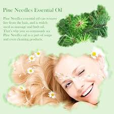 AMBER ARCTIC Pine Needles Essential Oil for Diffuser, 100% Pure Fresh  Organic Plant Therapy Pine Needles Oil 10ml/0.33oz : Buy Online at Best  Price in KSA