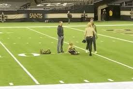 It was perhaps fitting that drew brees's final game for the new orleans saints was a defeat by tom brady.the quarterback, whose time in the nfl will be inextricably linked with brees's own, dealt the. Drew Brees Daughter Wrestled Her Brother While Her Dad Chatted With Tom Brady Video Draftkings Nation