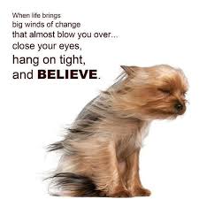 Looking for the best funny thursday quotes pictures, photos & images? Thursday Funny Inspirational Quotes Facebook Best Of Forever Quotes