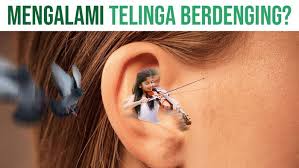 Tinnitus dapat menimbulkan telinga berdenging dari sebelah kanan ataupun sebelah kiri saja, tapi bisa juga keduanya. Hentikan Dengungan Di Telinga Dengan Cara Ini