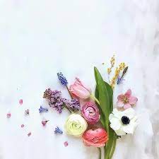 صور للتصميم flower backgrounds happy flowers flower wallpaper