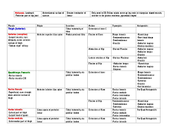 Muscle Chart Anatomy