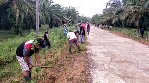 Jadi, tidak semuanya gotong royong berarti hanya tentang bekerja bakti, melainkan beragam. Gotong Royong Masyarakat Desa Petrans Jaya Setiap Hari Minggu Pagi Desa Petransjaya