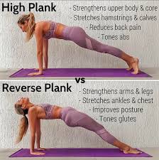 High Plan Vs Reverse Plank Workout Exercise Abs Workout