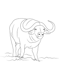 Buffalo coloring pages buffalo w calf printable coloring4free buffalo coloring pages free buffalo and bison coloring printable coloring pages are a fun way for kids of all ages to develop creativity, focus, motor skills and color recognition. Pin On Animal Coloring Pages