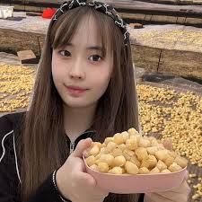 Buy Best Herb Dried Scallop, Seafood Chlamys Gan Bei 干贝, Yao Zhu 瑶柱, —  Health Wisdom™