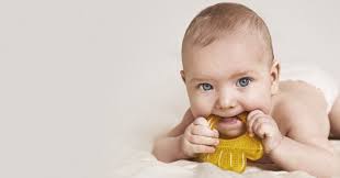 Wann bekommen babys ihre ersten zähne? Die Milchzahne Kommen Und Die Zahnungsschmerzen Auch