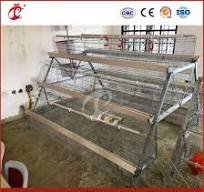 Mejor jaula para pollos, jaula de tipo para criadores, proveedor de jaulas  de madera para pollitos en China, coops personalizados OEM aplicables a  tiendas de alimentos, jaulas para pollitas